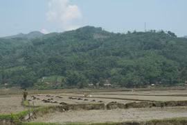 Bị sét đánh tử vong khi đi làm ngoài đồng