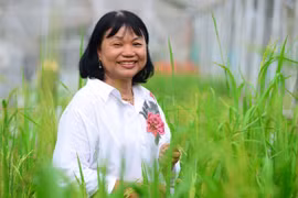 Vinh danh các nhà khoa học nữ xuất sắc Việt Nam năm 2016