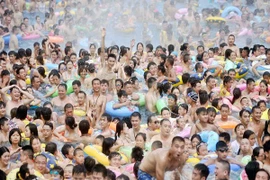 Ngạt thở với những "hồ bơi bánh bao" ở Trung Quốc