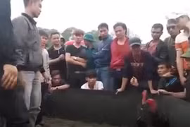 Dừng trò chơi chọi gà tại hội Lim, triệu tập các đối tượng liên quan