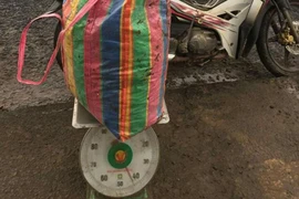 Thu giữ 43kg chất rắn nghi là thuốc nổ