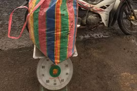 Thu giữ 43kg chất rắn nghi là thuốc nổ