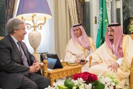 Làn sóng chống đối Hồi giáo đang thúc đẩy chủ nghĩa khủng bố