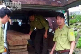 Bị phát hiện chở gỗ lậu, lâm tặc quay sang chống đối, chửi bới kiểm lâm