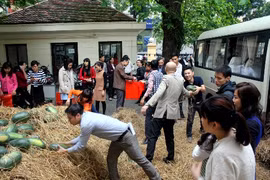 Bộ Công thương mua ủng hộ bà con miền Trung 14 tấn dưa hấu
