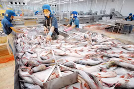 Thêm 2 doanh nghiệp được phép xuất khẩu cá tra vào Hoa Kỳ