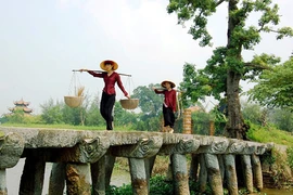 Bảo tồn làng ven đô: Không giữ vỏ cũ trong tinh thần mới