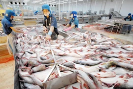 Thêm 2 doanh nghiệp được phép xuất khẩu cá tra vào Hoa Kỳ
