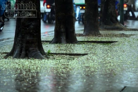 Mưa phùn kéo dài, Hà Nội trầm lắng