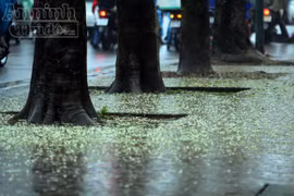 Mưa phùn kéo dài, Hà Nội trầm lắng