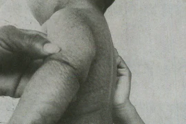 Lời đồn "rắn báo oán" ở "vương quốc hành"