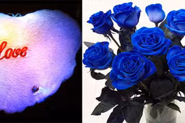 Gối trái tim, hoa hồng xanh- hàng "độc" ngày Valentine