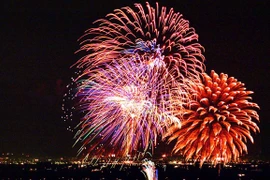 TP.HCM: Màn pháo hoa chào đón năm mới 2014 đẹp lung linh