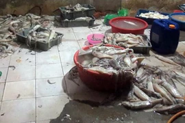 Nhìn cảnh này, ai còn dám ăn mực "tươi", trắng bóc?