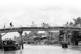 Sông Tiền mùa nước nổi