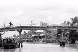 Sông Tiền mùa nước nổi