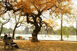 Vũ hội công dân toàn cầu – “Yêu thương trong từng bước nhảy”