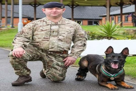 Chú chó quân đội Anh được trao tặng huân chương cao quý