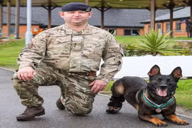 Chú chó quân đội Anh được trao tặng huân chương cao quý