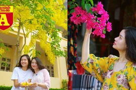 [ẢNH] Rạo rực hoa tháng 3: TP.HCM kèn hồng rực rỡ - Hội An hoa giấy rợp trời - Hà Nội muồng hoàng yến ‘thế chỗ’ hoa ban