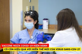 [CLIP] Vaccine ngừa Covid-19 hiện hành có còn hiệu quả với biến thể mới của virus SARS-CoV-2?