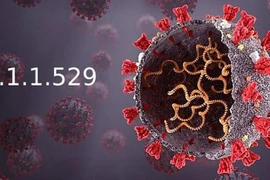 'Siêu biến thể Covid' Omicron là gì mà khiến cả thế giới lo ngại? 