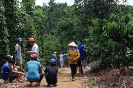 [Tin nhanh tối 3-10-2020] Phát hiện 3 bố con tử vong trong chòi rẫy sau một đêm mất tích