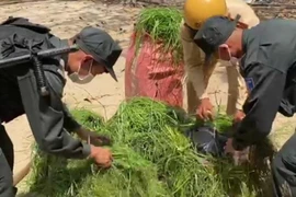 [Tin nhanh tối 22-2-2021] Thu giữ 2.000 bao thuốc lá lậu ngụy trang trong gánh cỏ