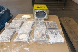 Kỷ lục thu giữ hơn 23 tấn cocain tại Đức và Bỉ