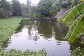 [Tin nhanh tối 14-8-2021] Hà Nội: Bắt giữ 1 nghi phạm vụ phát hiện thi thể trong bao tải dưới ao