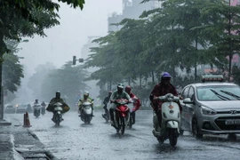 [Tin nhanh sáng 16-11-2020] Không khí lạnh tăng cường tiếp tục gây mưa rét tại Bắc Bộ