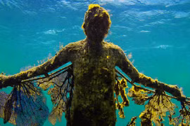 [ẢNH] Kinh ngạc với 5 bảo tàng dưới đáy đại dương