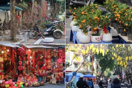 Chợ hoa Hàng Lược rộn ràng đón Tết Nhâm Dần 2022