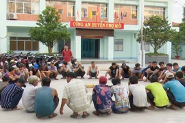 [Tin nhanh tối 24-10-2020] Bắt giữ quả tang 36 người đá gà ăn tiền