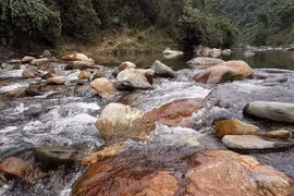 [Tin nhanh tối 23-8-2021] Người đàn ông 63 tuổi nghi bị người tình sát hại dã man