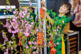 [ẢNH] Dàn diễn viên Việt ‘khoe’ nhà trang hoàng lộng lẫy đón Tết 