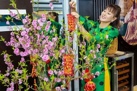 [ẢNH] Dàn diễn viên Việt ‘khoe’ nhà trang hoàng lộng lẫy đón Tết 