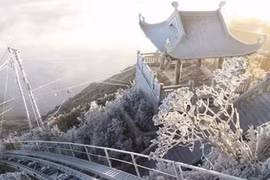 [Tin nhanh sáng 8-1-2021] Miền Bắc chìm trong giá rét, miền Nam lạnh nhất từ đầu mùa