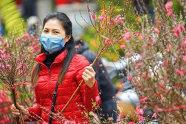 [ẢNH] Ngắm hoa ‘đẹp - độc - lạ’ ở chợ hoa Quảng An ngày giáp Tết 