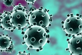 Malaysia: Phát hiện biến thể mới của virus SARS-CoV-2 có khả năng lây lan nhanh gấp 10 lần