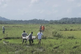 [Tin nhanh sáng 22-10-2022] Phát hiện người đàn ông lõa thể chết giữa đồng