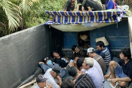 [Tin nhanh tối 12-4-2021] Cảnh sát đóng vai thương lái mua lúa để triệt phá sới gà