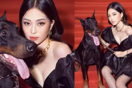 [ẢNH] Chuyện lạ mà quen: Sao Việt đua nhau đưa thú cưng lên thảm đỏ 