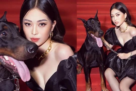 [ẢNH] Chuyện lạ mà quen: Sao Việt đua nhau đưa thú cưng lên thảm đỏ 