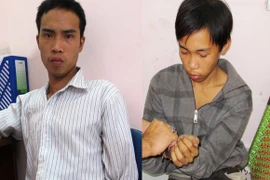 2 đạo chích chuyên cắt dây điện chiếu sáng