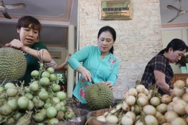 Nâng cấp đội ngũ nhân lực làm du lịch đồng bằng sông Cửu Long