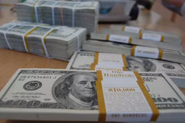 Tỷ giá có thể vượt 22.000 đồng/USD vào cuối năm