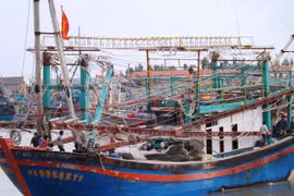 Rơi xuống biển trong lúc đánh cá, một ngư dân tử vong