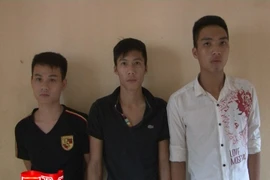 Ham "Piaggio Liberty giá 12 triệu đồng", nạn nhân "sập bẫy"