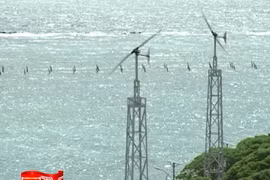 Tìm hiểu về luật biển Việt Nam và quốc tế - Phần II